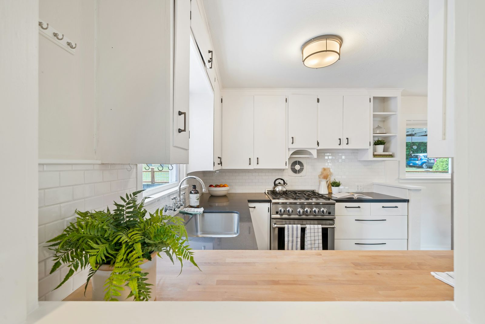 Bright clean kitchen with native greenery